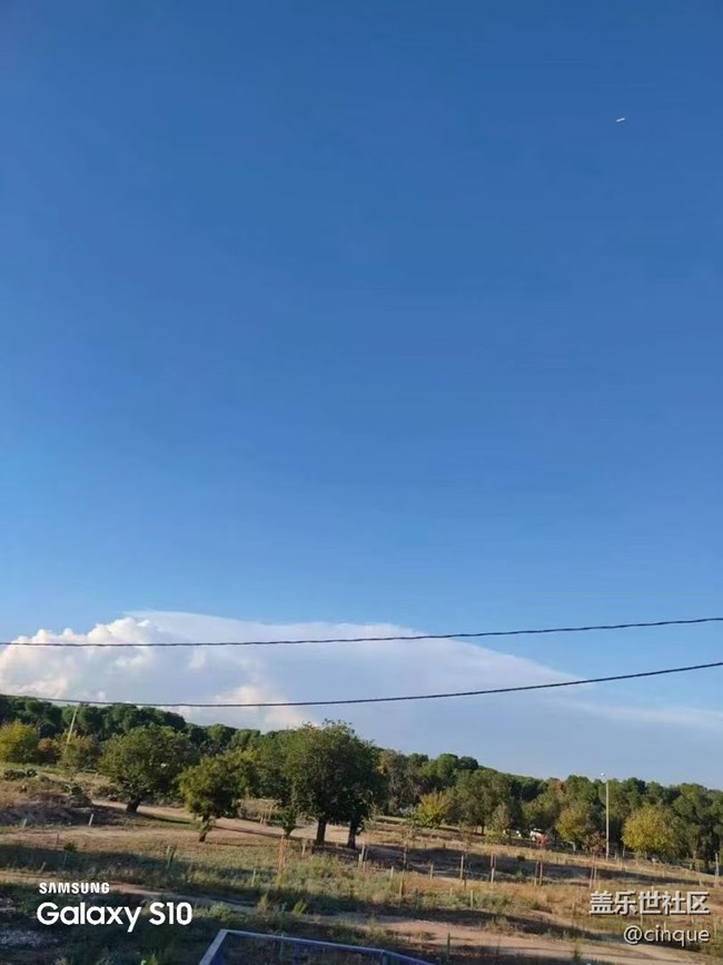 【鵬城尋冬記】森林