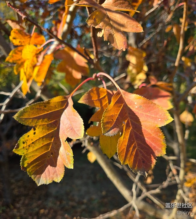 【尋找生活中的溫暖】陽光暖寒秋