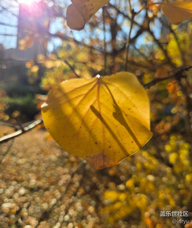 【尋找生活中的溫暖】陽光暖寒秋