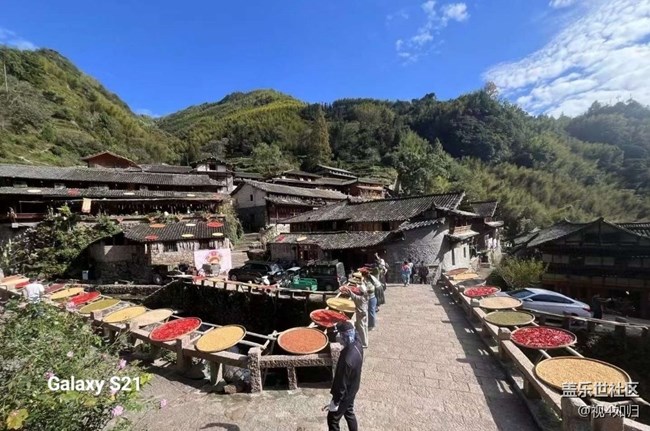 【鵬城尋冬記】曬秋