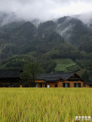 【地標(biāo)最佳機(jī)位】龍脊稻香飄滿寨