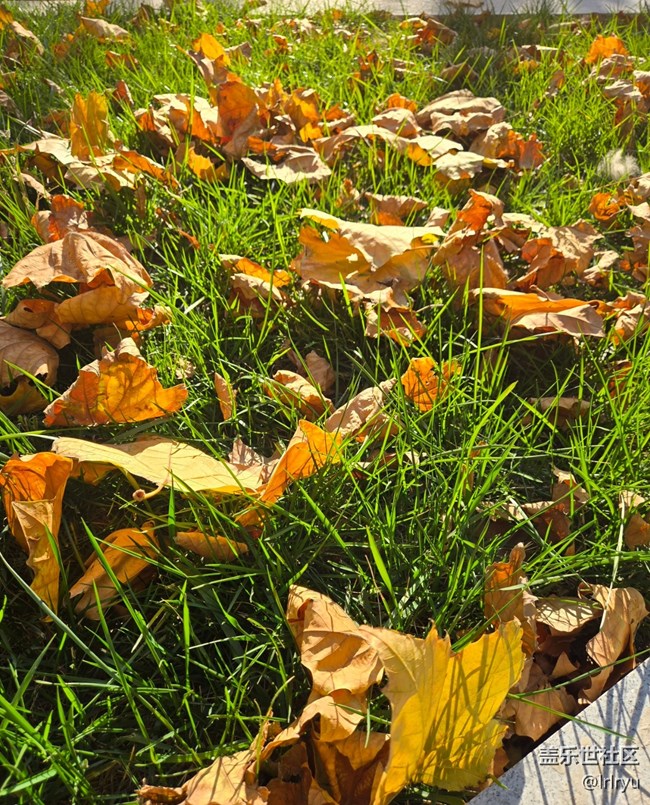 【尋找生活中的溫暖】陽光暖寒秋