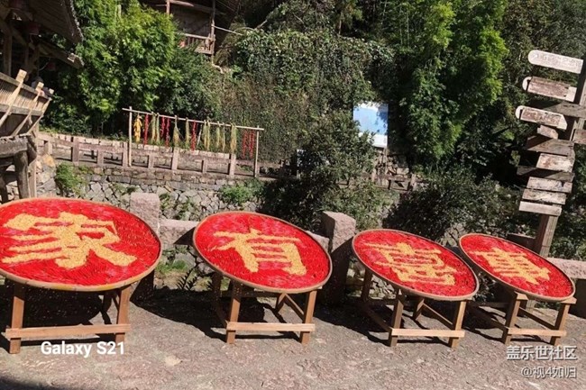 【鵬城尋冬記】曬秋