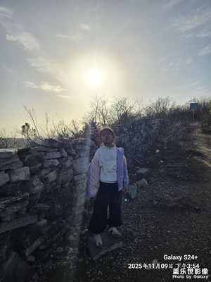 【地標(biāo)最佳機位】+博愛紅葉防火墻