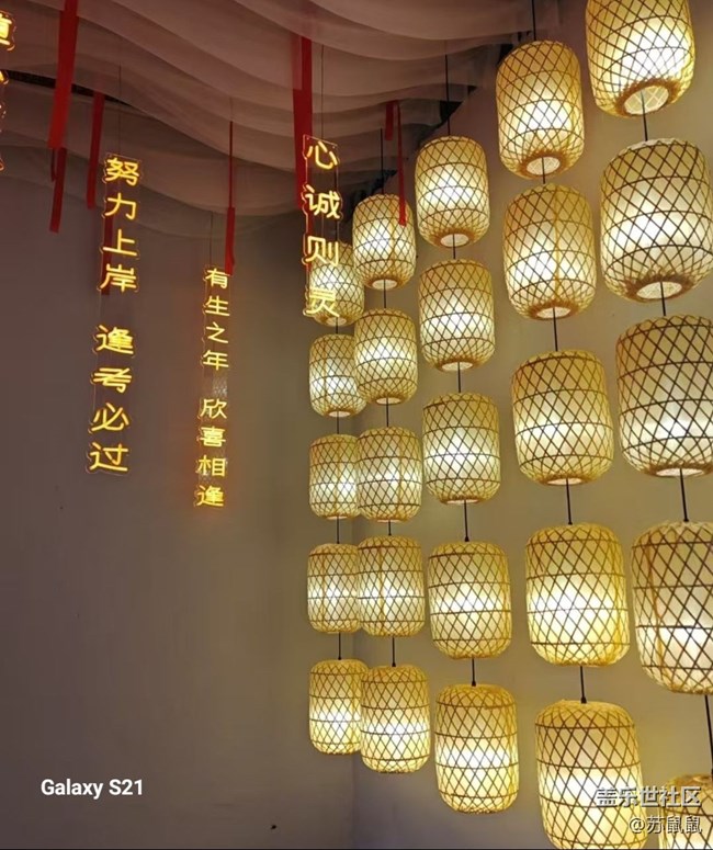 【鵬城尋冬記】紅楓