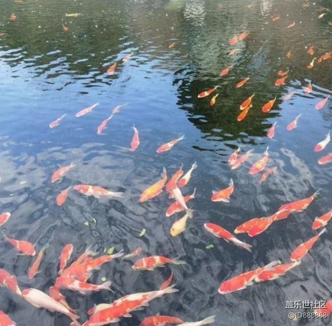 【全鏡影像】好景好心情