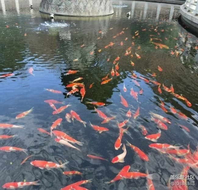 【全鏡影像】好景好心情