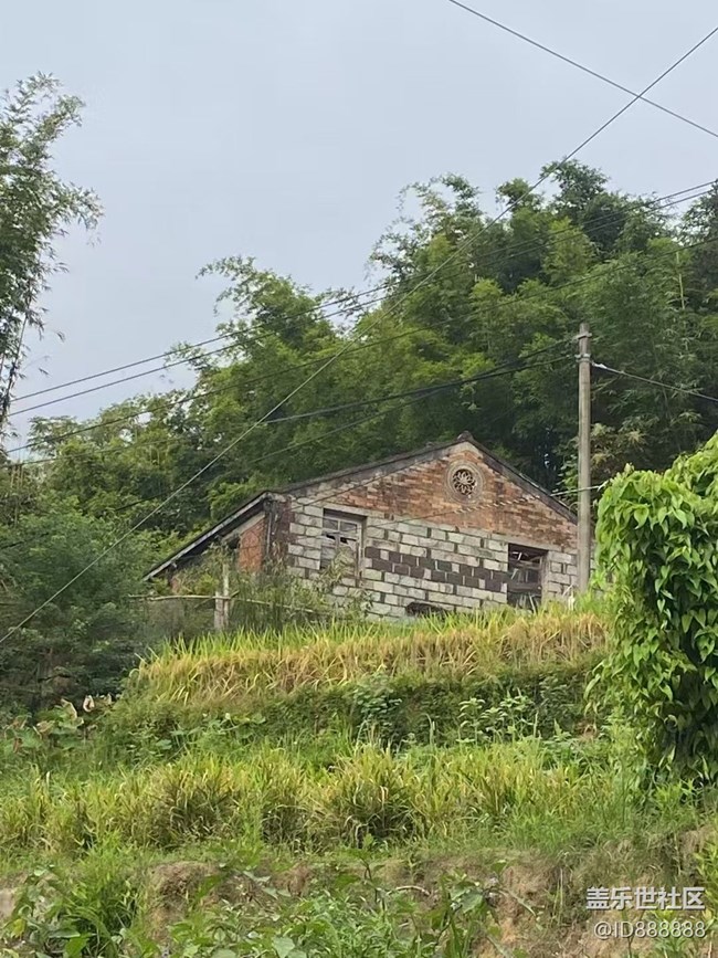 【全鏡影像】周末回老家