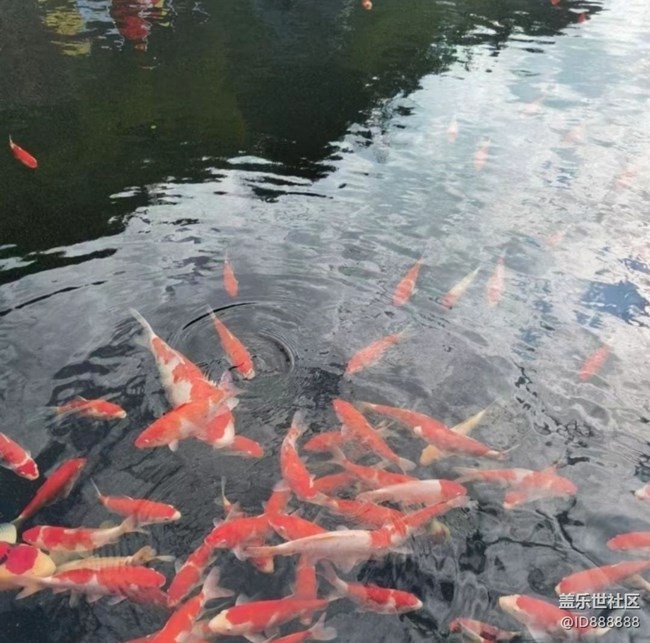 【全鏡影像】好景好心情