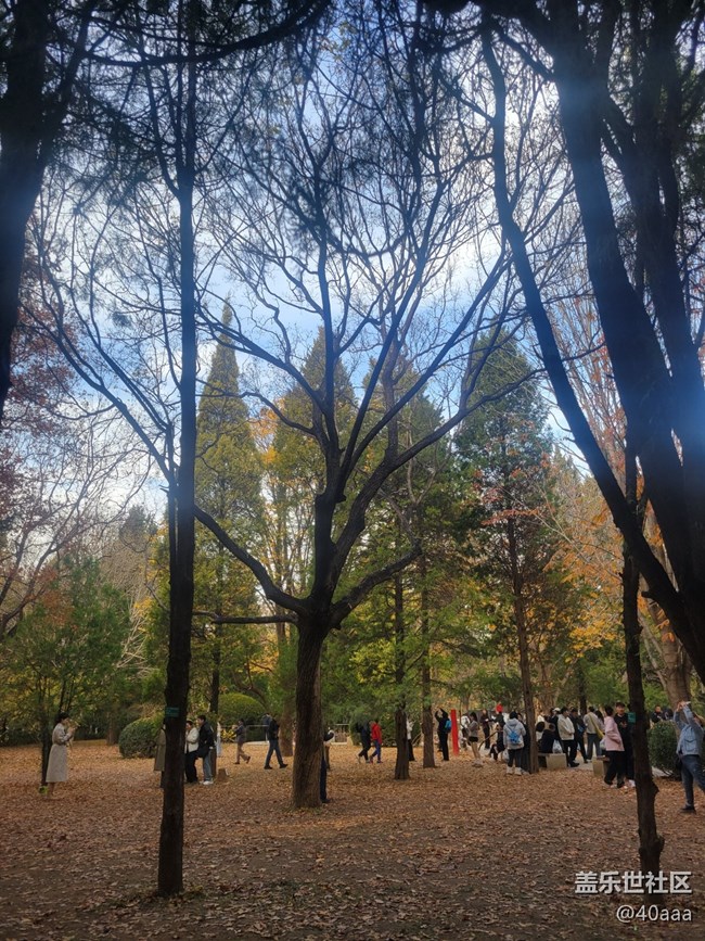 【地壇公園】人多景盛葉紛飛