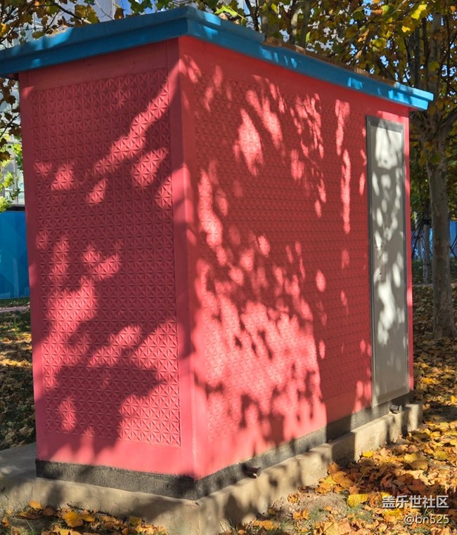 【光影里的故事】樹影知秋