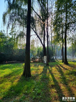 【地標(biāo)最佳機(jī)位】+秋景隨拍