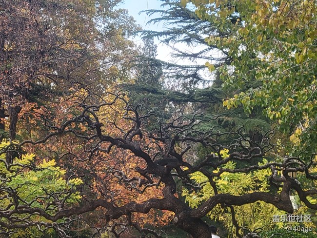 【地壇公園】人多景盛葉紛飛