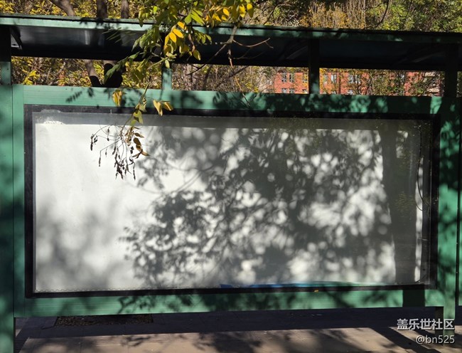 【光影里的故事】樹影知秋