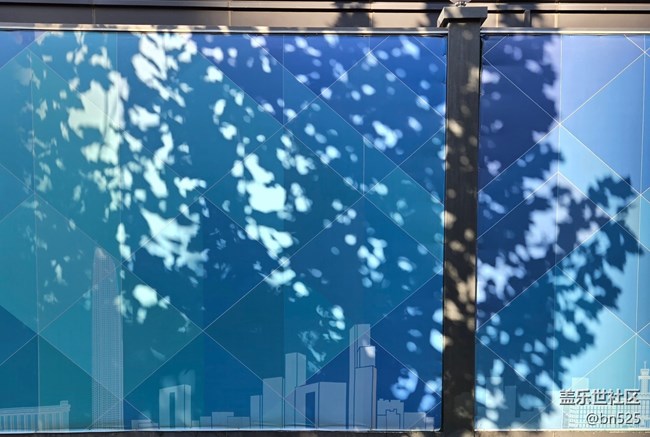 【光影里的故事】樹影知秋