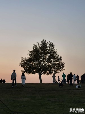 【地標(biāo)最佳機(jī)位】＋仙林體育場