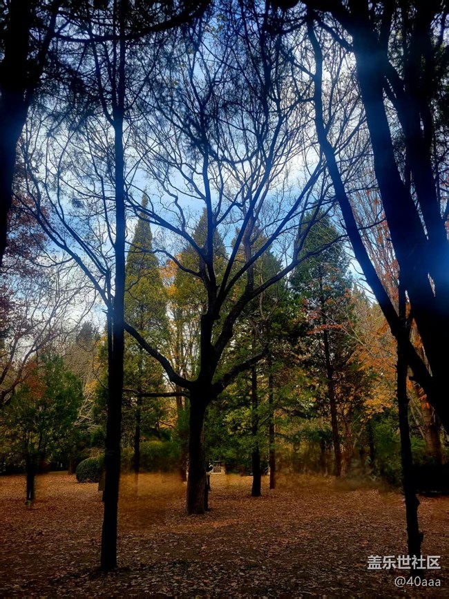 【地壇公園】人多景盛葉紛飛