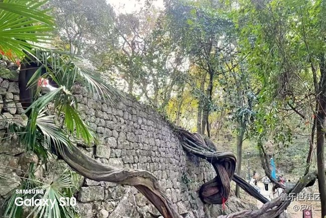 【鵬城尋冬記】爬山鍛煉