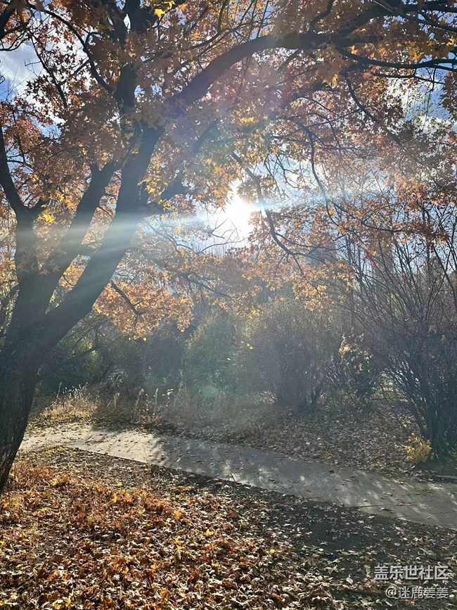 【秋季采風(fēng)計(jì)劃】太喜歡這樣的秋天了