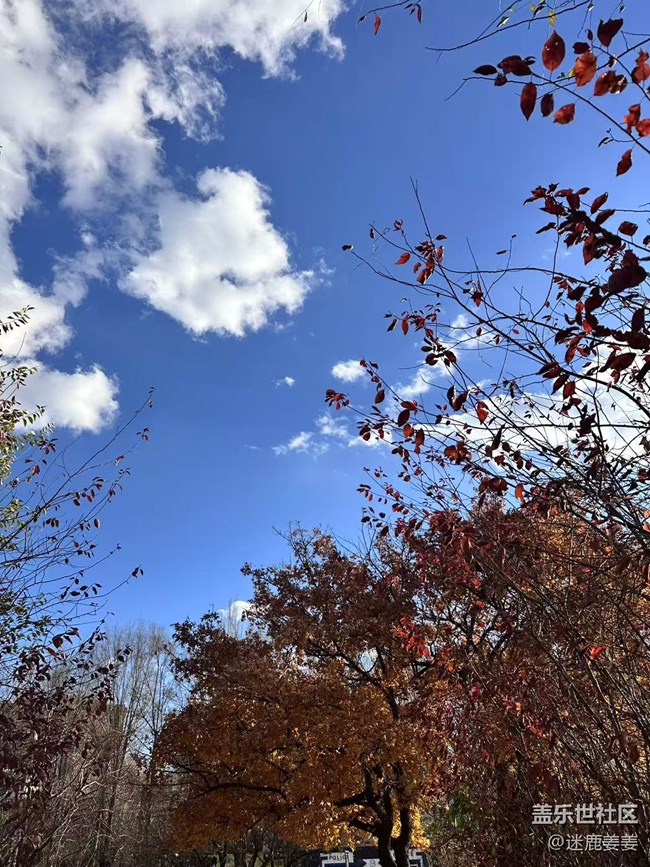 【秋季采風(fēng)計(jì)劃】太喜歡這樣的秋天了