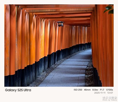 伏見稻荷神寺的秋天真是美極了