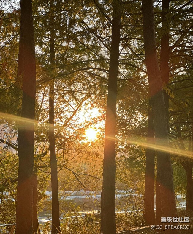 【世間的美好】秋日調(diào)色盤