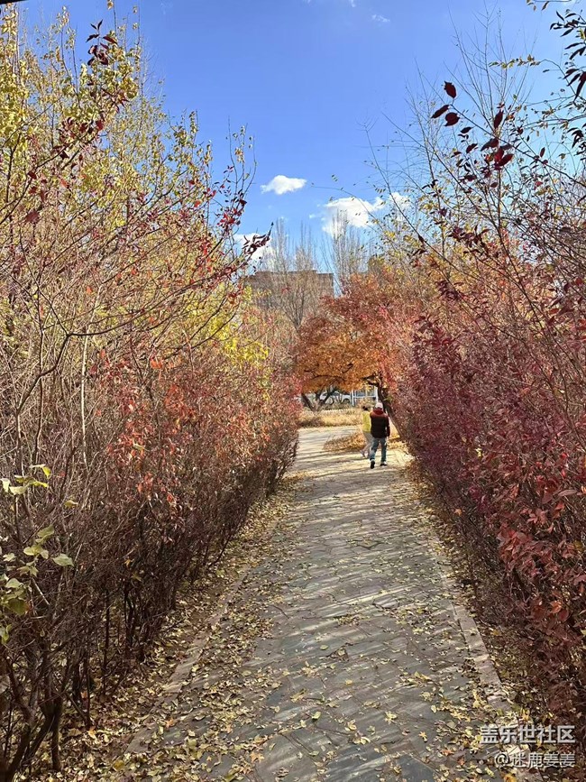 【秋季采風(fēng)計(jì)劃】太喜歡這樣的秋天了