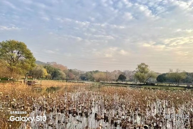 【鵬城尋冬記】爬山鍛煉