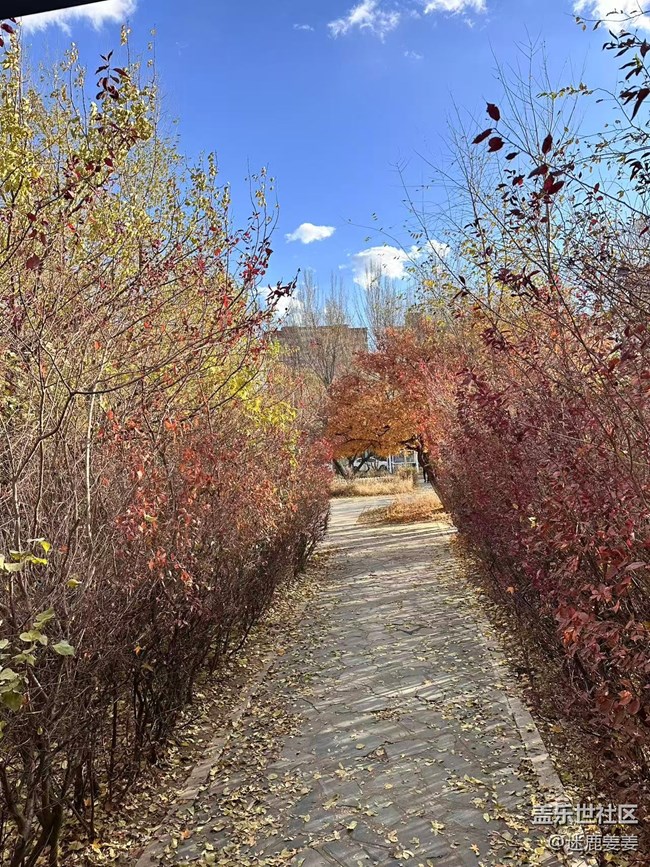 【秋季采風(fēng)計(jì)劃】太喜歡這樣的秋天了