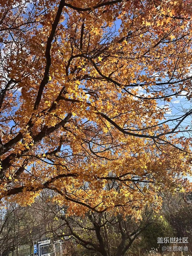 【秋季采風(fēng)計(jì)劃】太喜歡這樣的秋天了