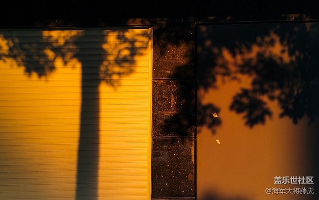 【世間的美好】世間美好，在光影里悄然綻放