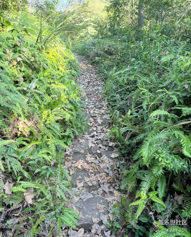 【秋季采風(fēng)計(jì)劃】登山