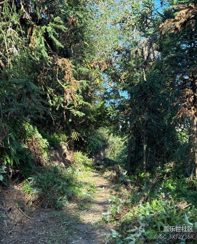 【秋季采風(fēng)計(jì)劃】登山