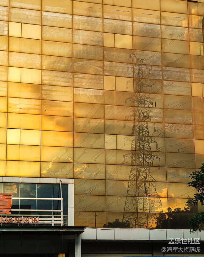 【世間的美好】世間美好，在光影里悄然綻放