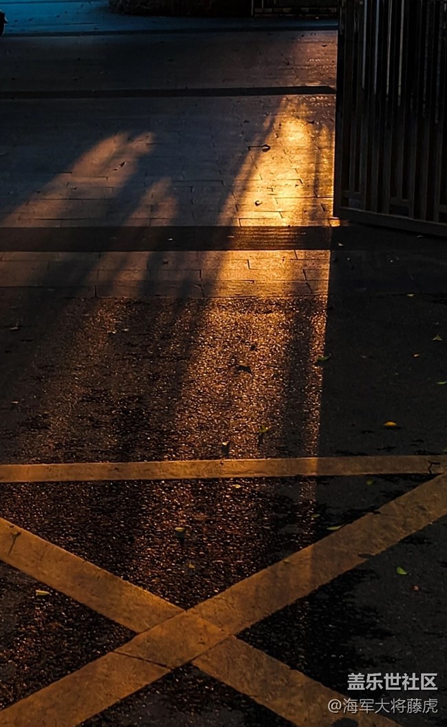 【世間的美好】世間美好，在光影里悄然綻放