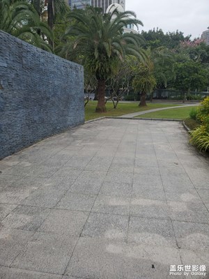 【地標(biāo)最佳機(jī)位】中心公園