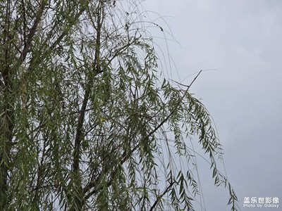 【地標(biāo)最佳機(jī)位】秋風(fēng)起