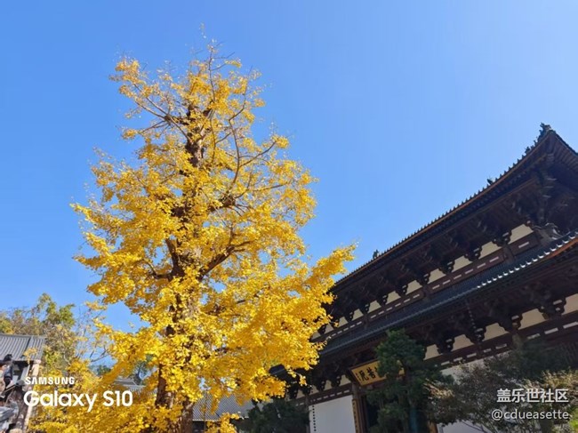 【鵬城尋冬記】靜美秋天