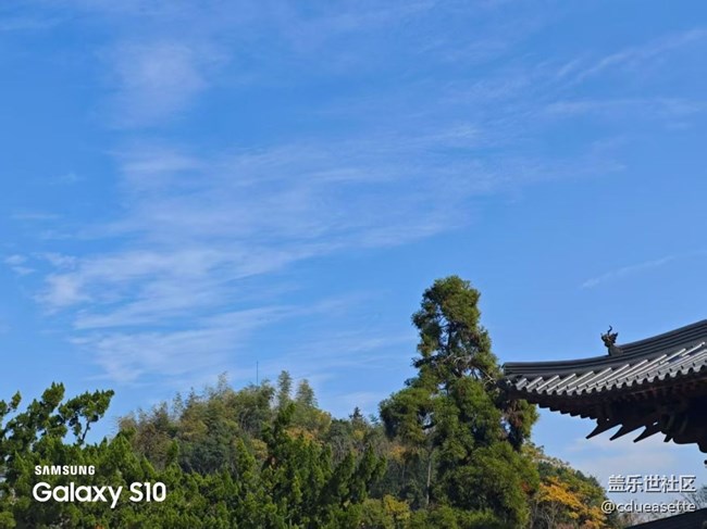 【鵬城尋冬記】靜美秋天