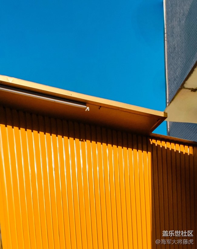 【世間的美好】世間美好，在光影里悄然綻放