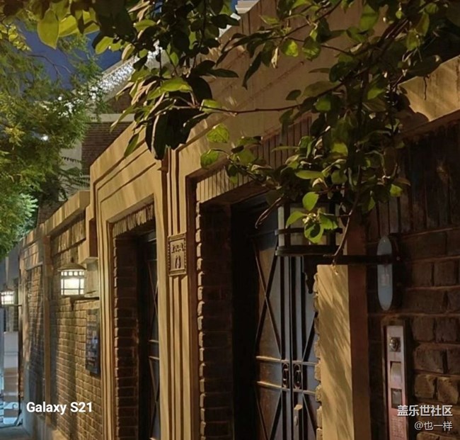 【鵬城尋冬記】秋夜