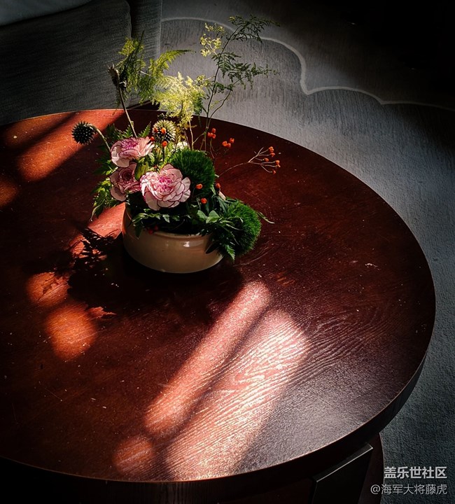 【世間的美好】世間美好，在光影里悄然綻放