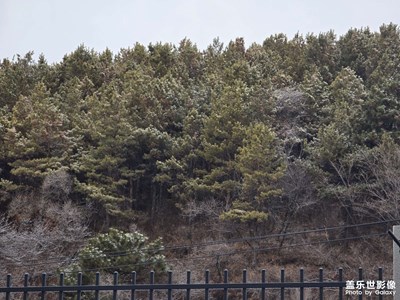 【地標(biāo)最佳機(jī)位】+ 運(yùn)動(dòng)地點(diǎn)