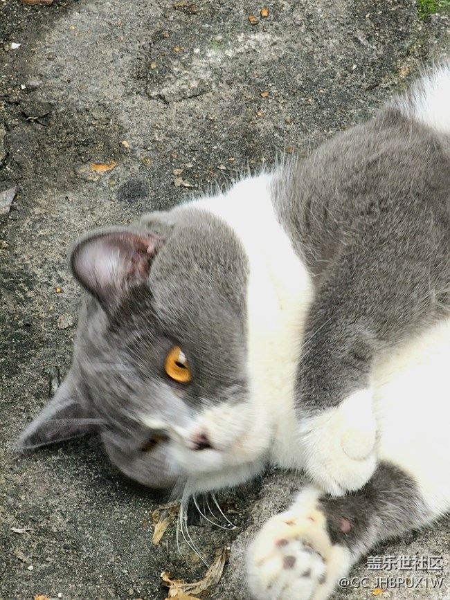 【世間的美好】日常美好