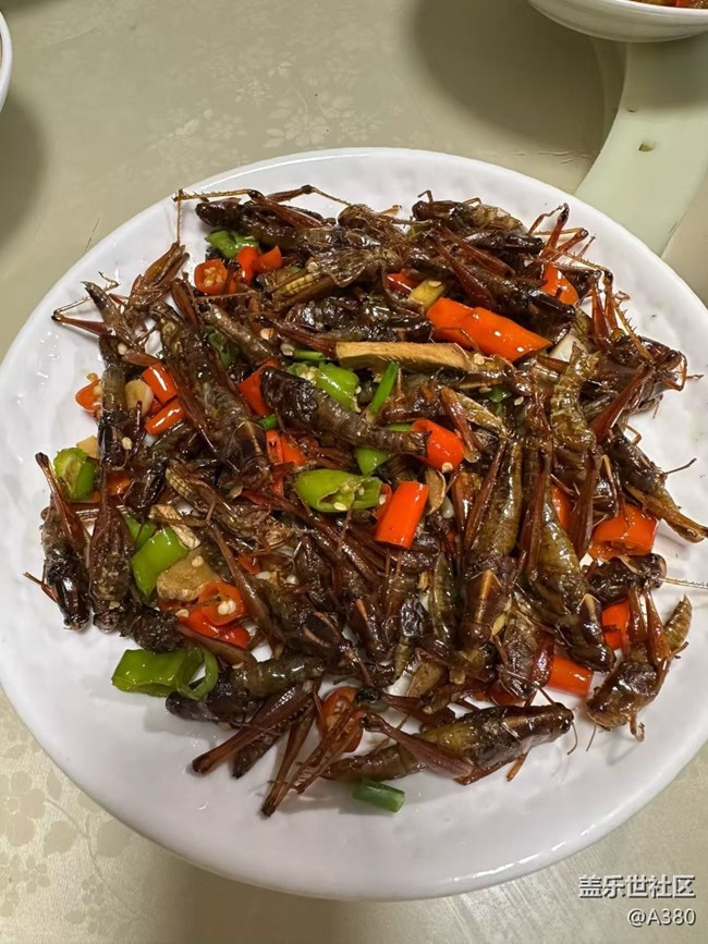 【小雪驅寒食譜】油炸蝗蟲