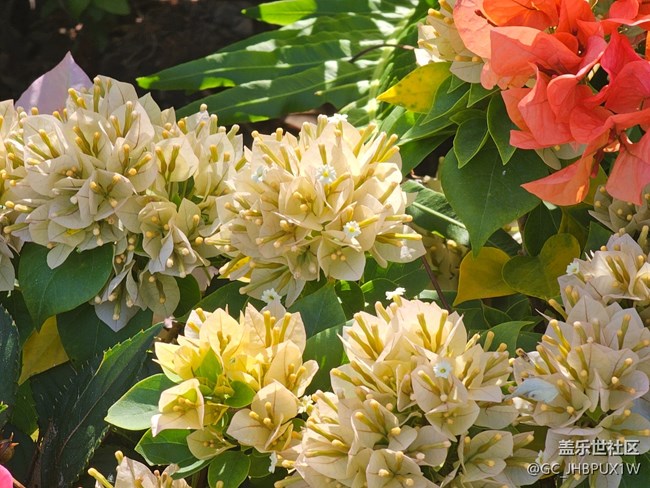 【國(guó)慶旅途】旅行的日子里