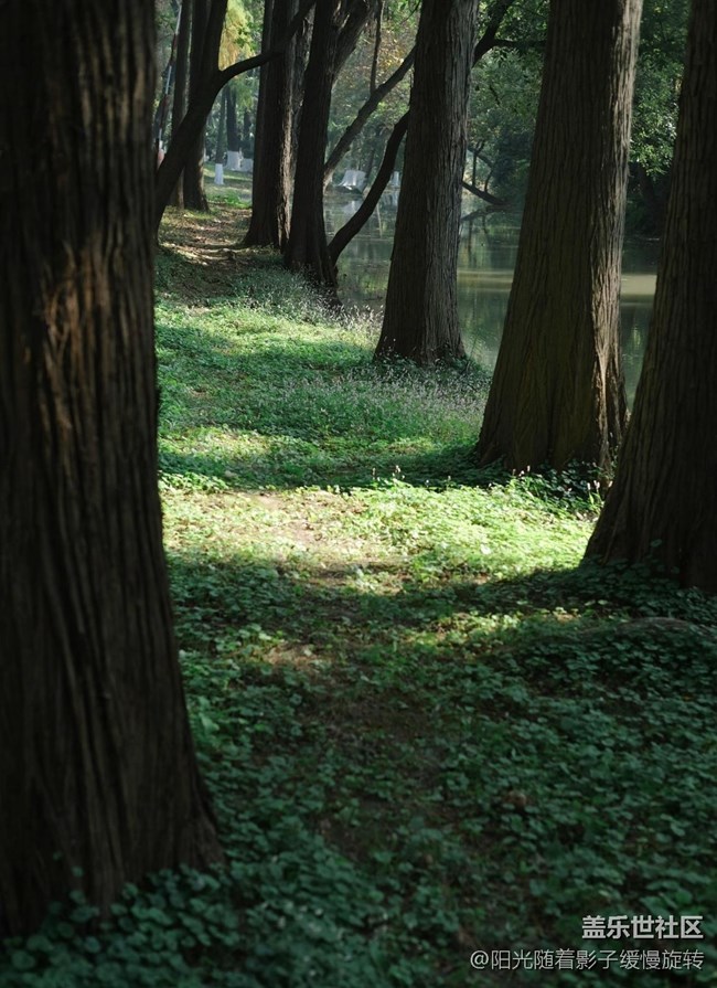 【秋季采風(fēng)計(jì)劃】公園一角