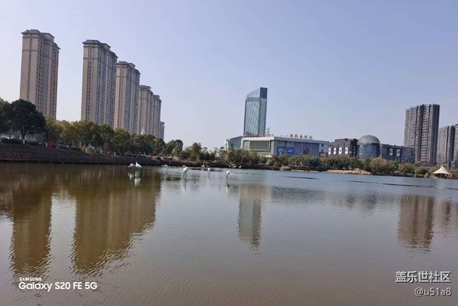 【鵬城尋冬記】冬季公園