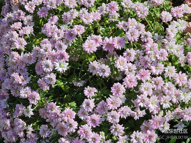 【生活小確幸】好時(shí)光