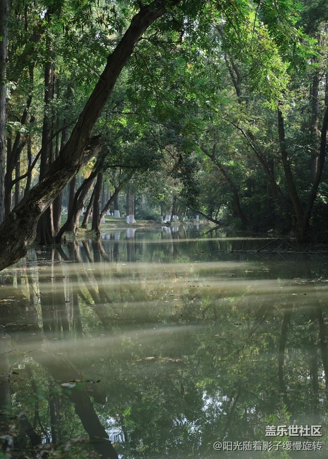 【秋季采風(fēng)計(jì)劃】公園一角